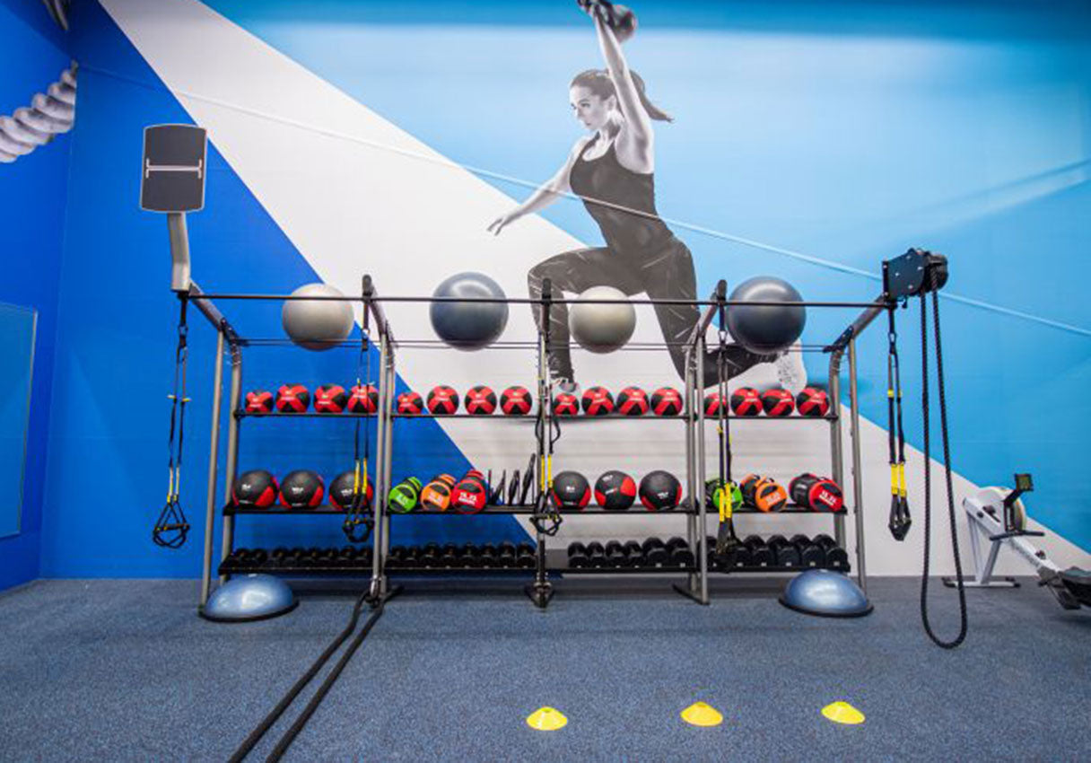 Performance and Wellness Meet at Toronto Metropolitan University