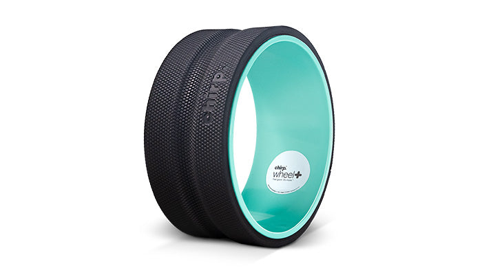 Chirp Wheel+ 10